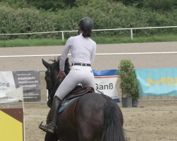 Reitturnier Biebesheim 2021