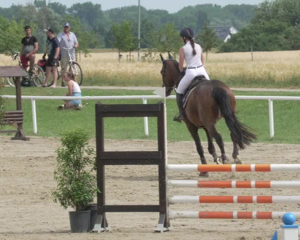 Reitturnier Biebesheim 2021