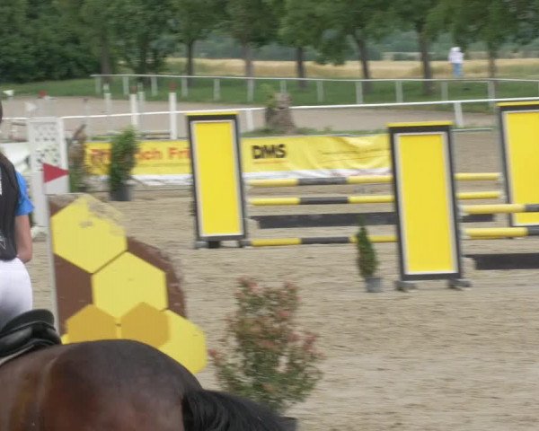 Reitturnier Biebesheim 2021