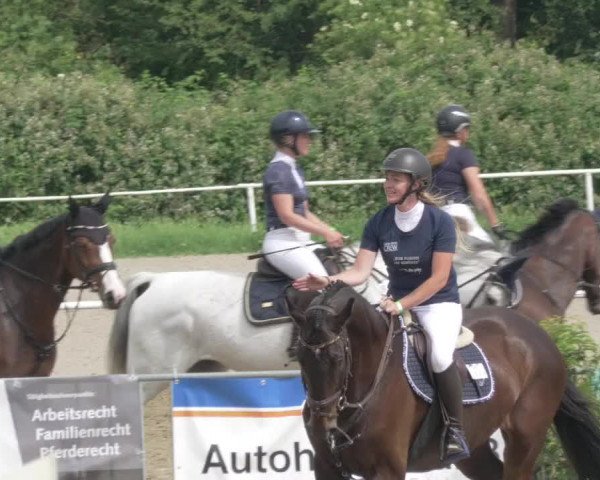 Reitturnier Biebesheim 2021