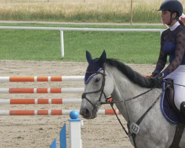 Reitturnier Biebesheim 2021