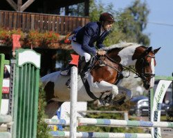 Springpferd Anascha (KWPN (Niederländisches Warmblut), 2005, von Primar)