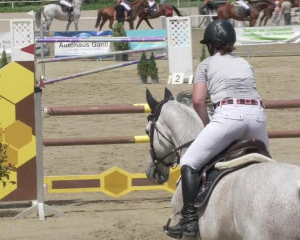 Reitturnier Biebesheim 2021