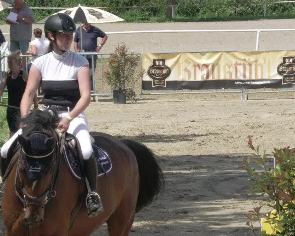 Reitturnier Biebesheim 2021