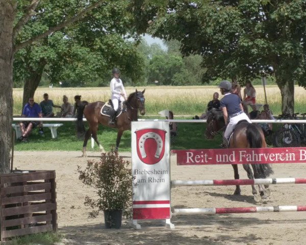 Reitturnier Biebesheim 2021