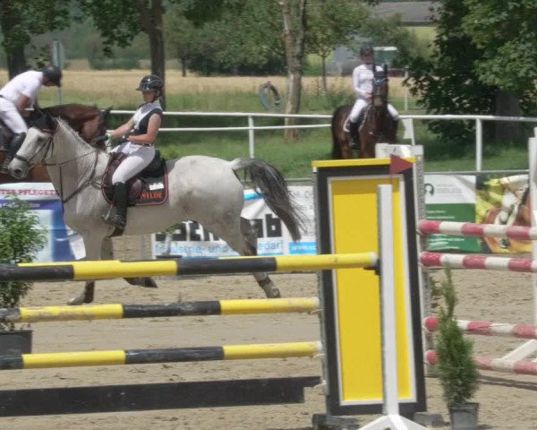 Reitturnier Biebesheim 2021