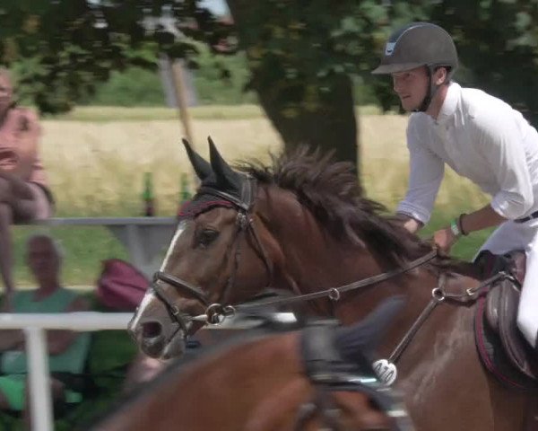 Reitturnier Biebesheim 2021