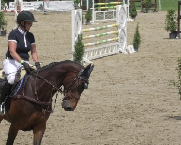 Reitturnier Biebesheim 2021