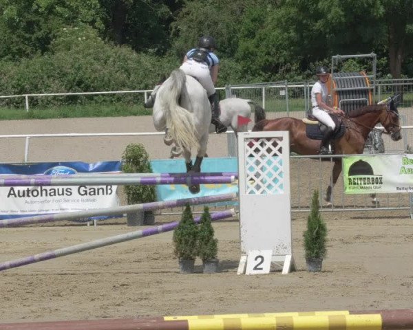 Reitturnier Biebesheim 2021