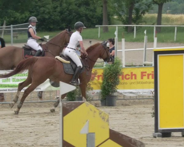 Reitturnier Biebesheim 2021