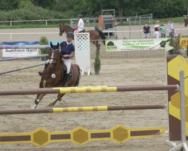 Reitturnier Biebesheim 2021