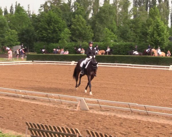 Reitturnier Westeregeln 2021