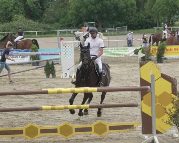 Reitturnier Biebesheim 2021