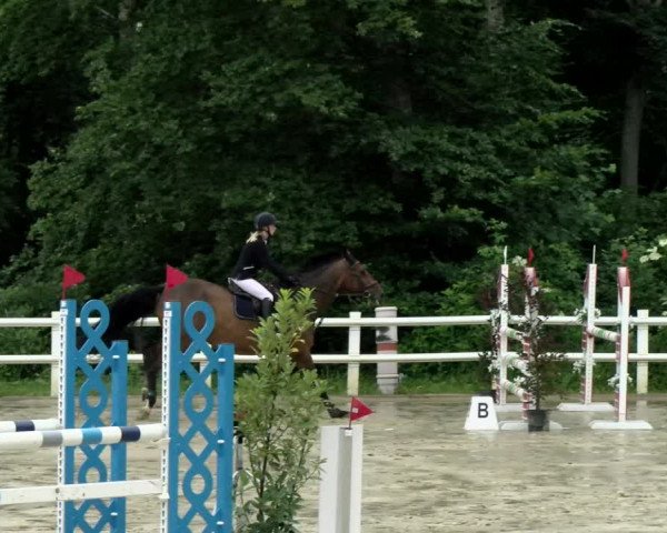 Reitturnier Nordstetten- Horb 2021