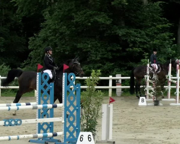 Reitturnier Nordstetten- Horb 2021