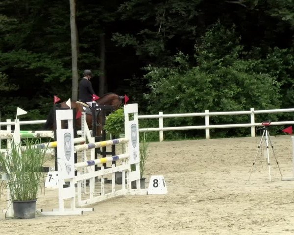 Reitturnier Nordstetten- Horb 2021