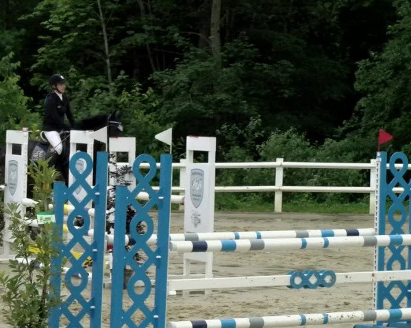 Reitturnier Nordstetten- Horb 2021