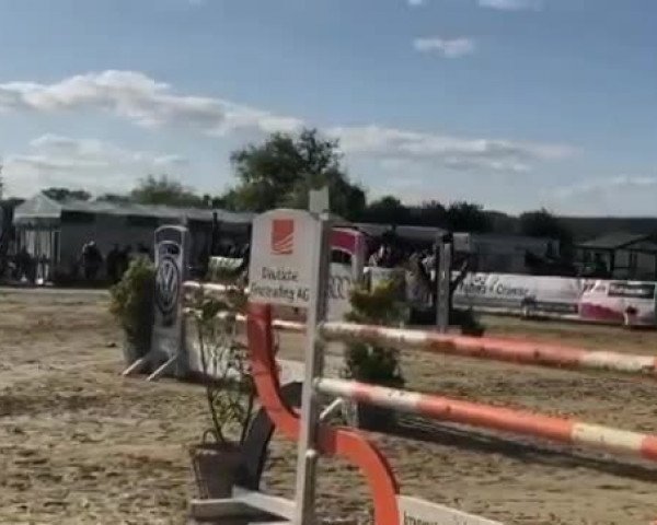 Video von Castalina
