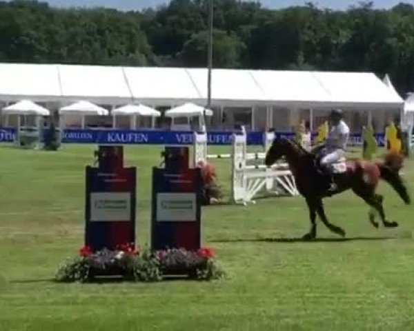 Video von Castalina