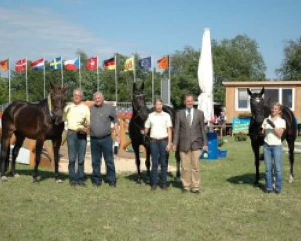 broodmare First Lady (Hanoverian, 2001, from Florestan I)