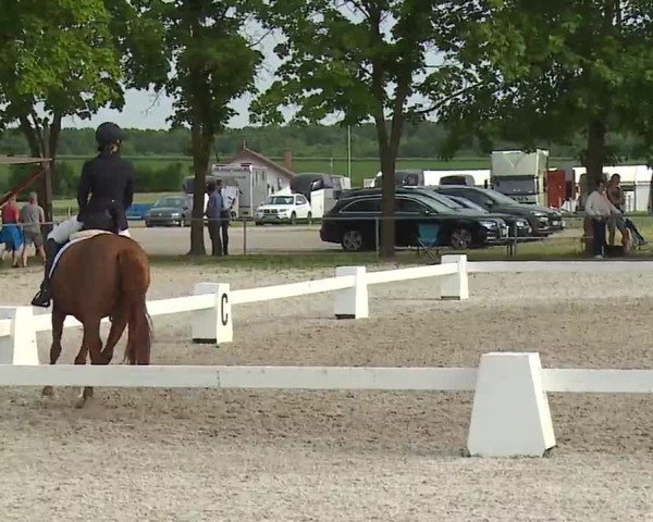 Reitturnier Rot am See- Musdorf 2021