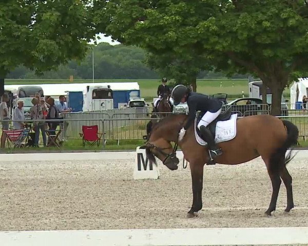 Reitturnier Rot am See- Musdorf 2021