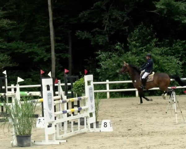 Reitturnier Nordstetten- Horb 2021