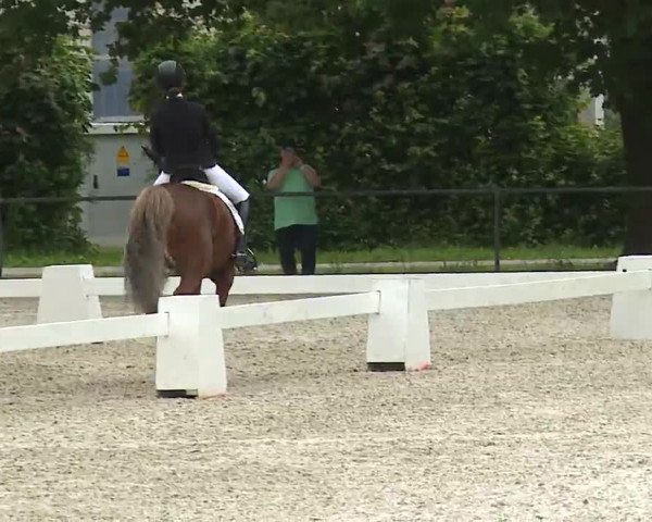 Reitturnier Rot am See- Musdorf 2021