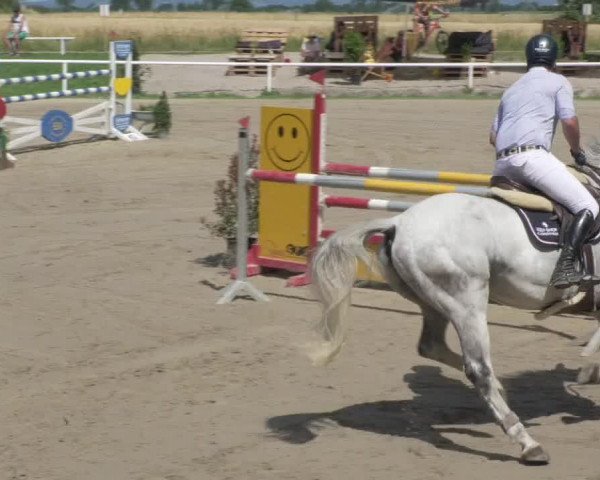 Reitturnier Biebesheim 2021