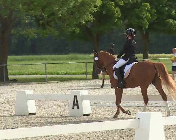 Reitturnier Rot am See- Musdorf 2021