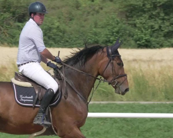 Reitturnier Biebesheim 2021