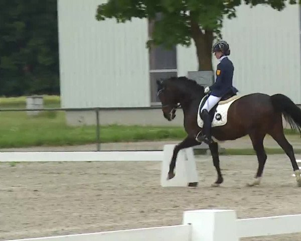 Reitturnier Rot am See- Musdorf 2021