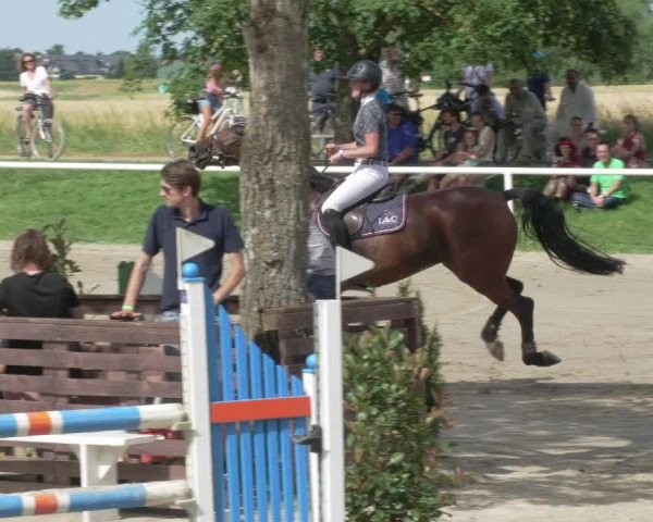 Reitturnier Biebesheim 2021