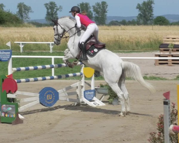 Reitturnier Biebesheim 2021