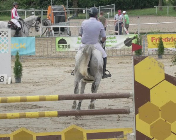 Reitturnier Biebesheim 2021