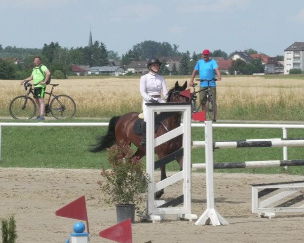 Reitturnier Biebesheim 2021