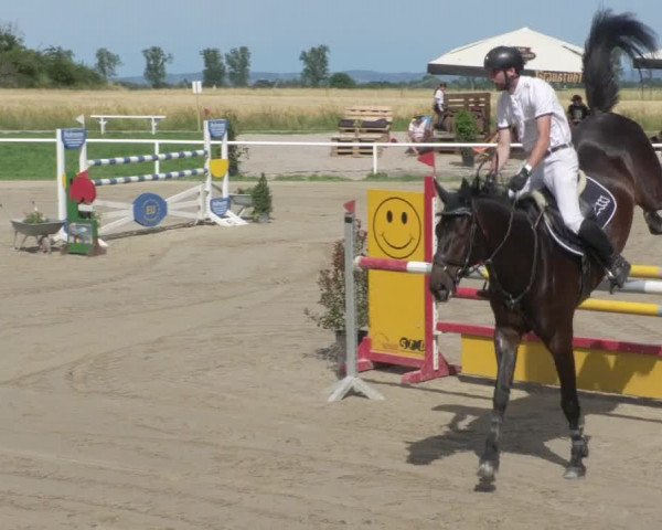 Reitturnier Biebesheim 2021