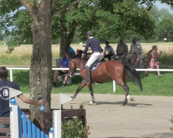 Reitturnier Biebesheim 2021