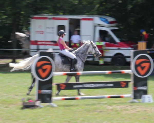Reitturnier Nienburg 2021