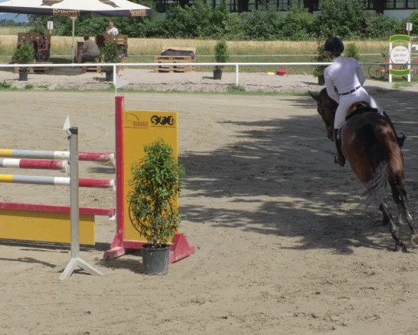 Reitturnier Biebesheim 2021