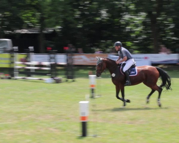 Reitturnier Nienburg 2021