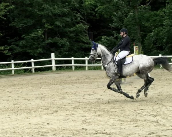 Reitturnier Nordstetten- Horb 2021