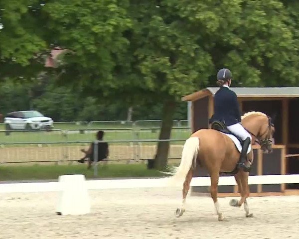 Reitturnier Rot am See- Musdorf 2021
