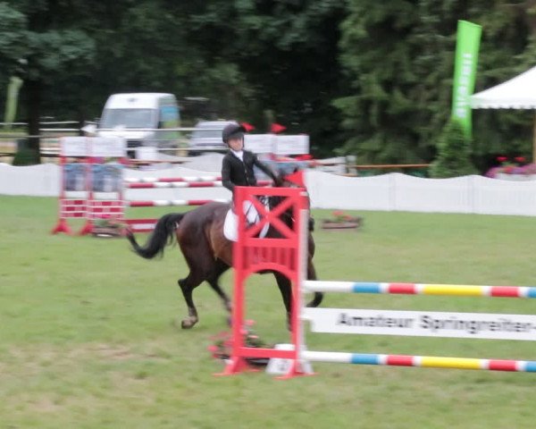 Reitturnier Nienburg 2021