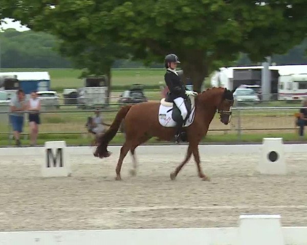 Reitturnier Rot am See- Musdorf 2021