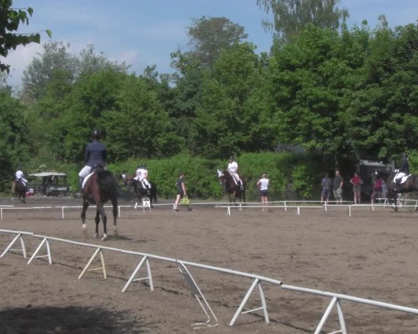 Reitturnier Westeregeln 2021