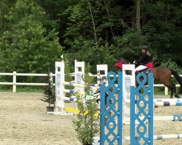 Reitturnier Nordstetten- Horb 2021