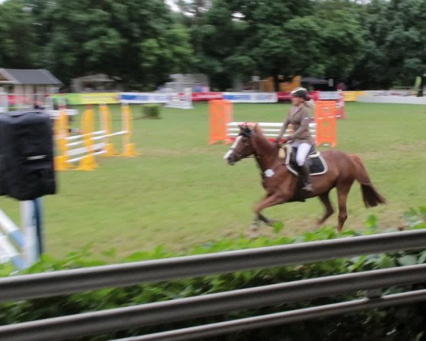 Reitturnier Nienburg 2021