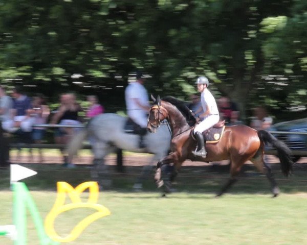 Reitturnier Nienburg 2021