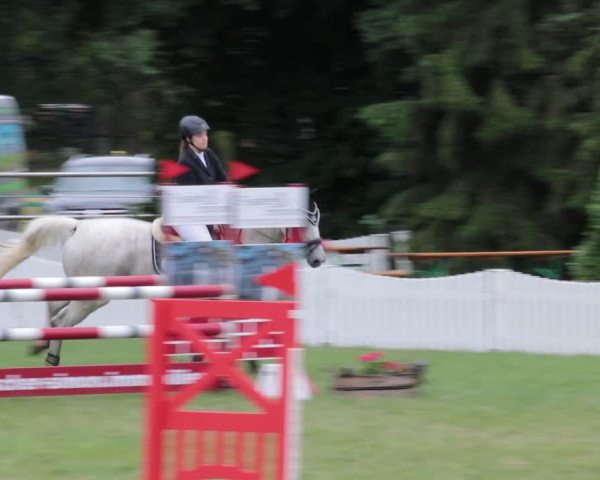 Reitturnier Nienburg 2021